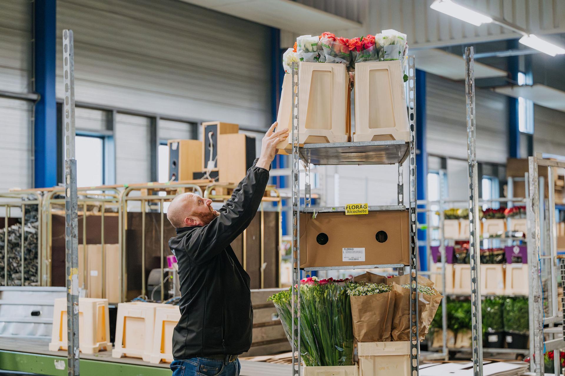 Medewerker plaatst bloemendozen op een metalen rolcontainer in het distributiecentrum, als onderdeel van de dagelijkse logistieke verwerking van verse bloemen.