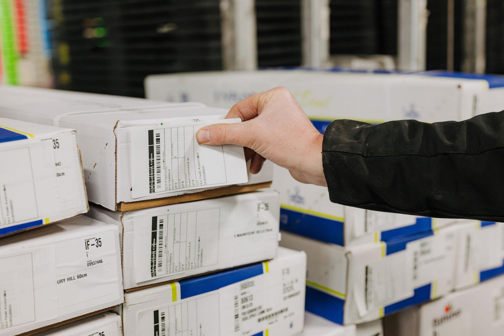 Medewerker van Tuning controleert en plaatst orderlabels op bloemendozen in de logistieke ruimte, als onderdeel van een zorgvuldige orderverwerking.