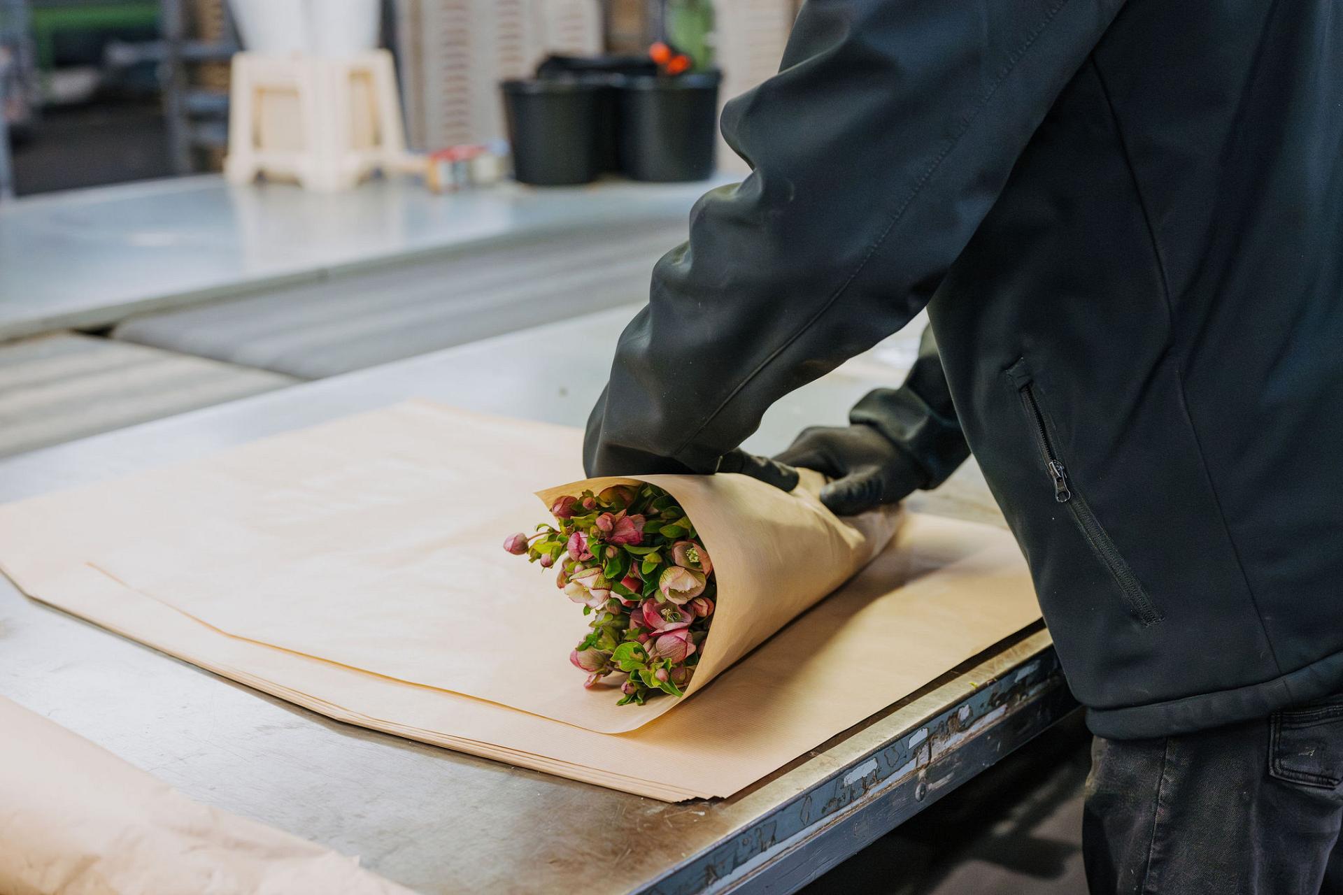 Mitarbeiter von Tuning verpackt einen Bund frischer Blumen mit Schutzpapier am Arbeitstisch, als Teil des sorgfältigen Verarbeitungsprozesses.