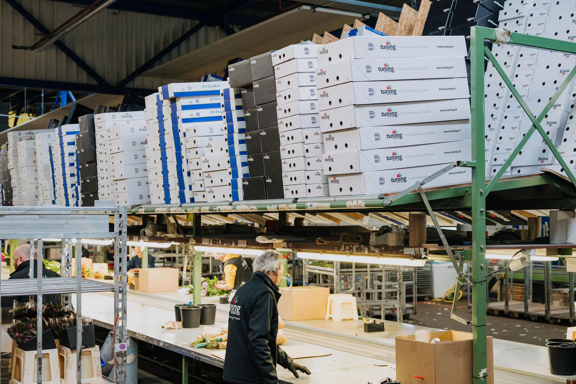 Gestapelte Blumenkartons im Lager über einem Arbeitstisch, an dem Mitarbeiter Blumen verarbeiten und Bestellungen für den internationalen Versand vorbereiten.