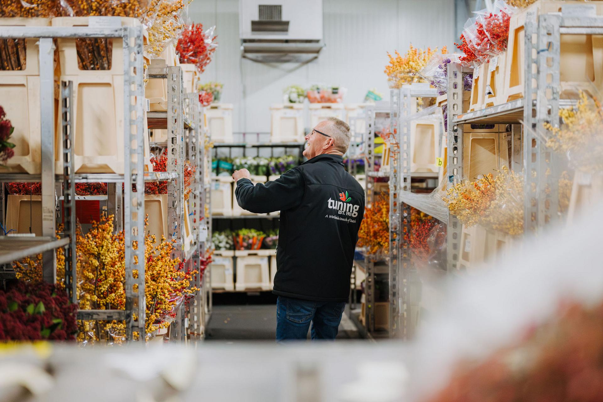 Kontrolle von Blumen in einem klimatisierten Bereich, in dem Lagerung und Handling sorgfältig aufeinander abgestimmt sind, um Qualität und Frische zu sichern.