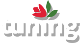 tuning logo
