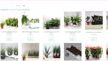 webshop planst 1024x417 1024x417