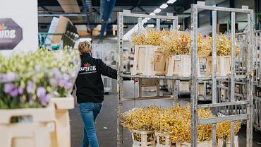 li8 8173 lilian fotografie tuning bloemen aalsmeer 2025 10 17