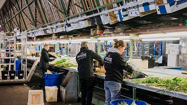 Tuning BV employees wearing branded jackets processing fresh flowers and greenery at a long workbench in a busy floral distribution center.